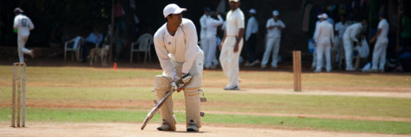 Cricket